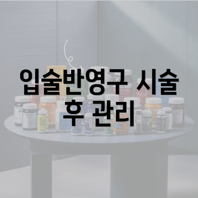 입술반영구 시술 후 관리