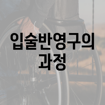 입술반영구의 과정