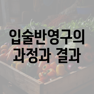 입술반영구의 과정과 결과