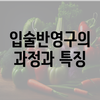 입술반영구의 과정과 특징