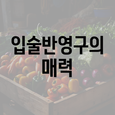 입술반영구의 매력