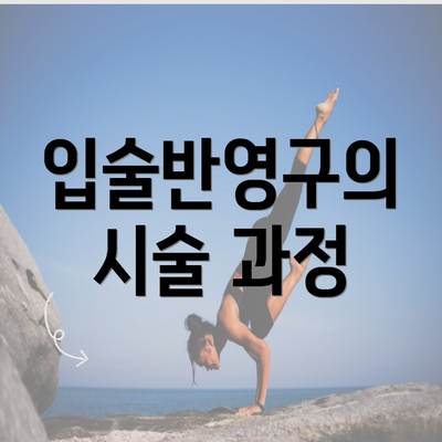 입술반영구의 시술 과정