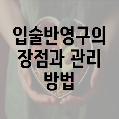 입술반영구의 장점과 관리 방법