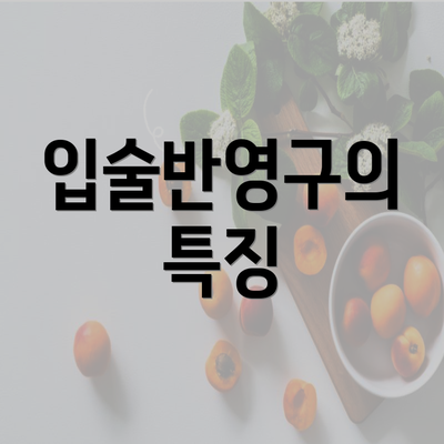 입술반영구의 특징