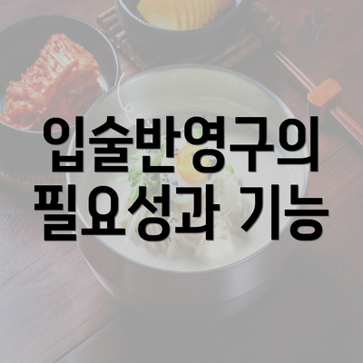 입술반영구의 필요성과 기능