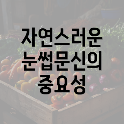 자연스러운 눈썹문신의 중요성