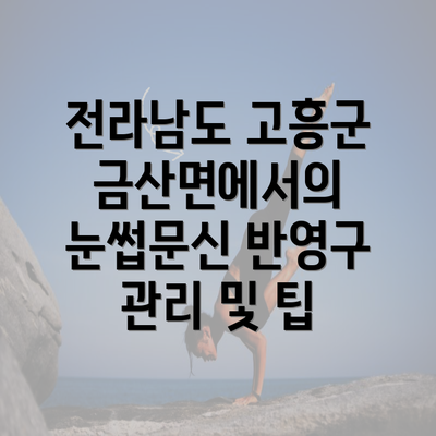 전라남도 고흥군 금산면에서의 눈썹문신 반영구 관리 및 팁