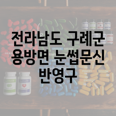 전라남도 구례군 용방면 눈썹문신 반영구