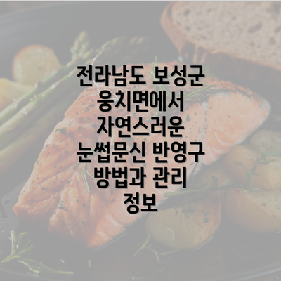 전라남도 보성군 웅치면에서 자연스러운 눈썹문신 반영구 방법과 관리 정보