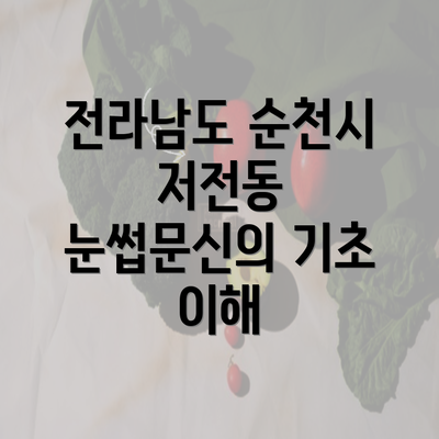 전라남도 순천시 저전동 눈썹문신 반영구