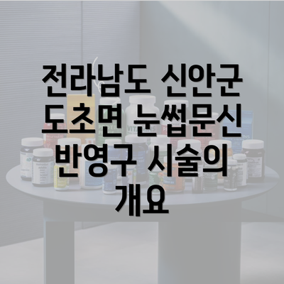 전라남도 신안군 도초면 눈썹문신 반영구 시술의 개요