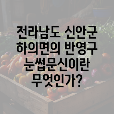 전라남도 신안군 하의면의 반영구 눈썹문신이란 무엇인가?