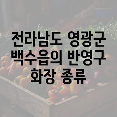 전라남도 영광군 백수읍의 반영구 화장 종류