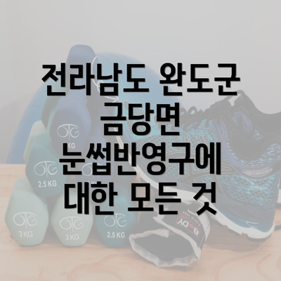 전라남도 완도군 금당면 눈썹반영구에 대한 모든 것