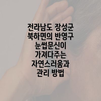 전라남도 장성군 북하면의 반영구 눈썹문신이 가져다주는 자연스러움과 관리 방법