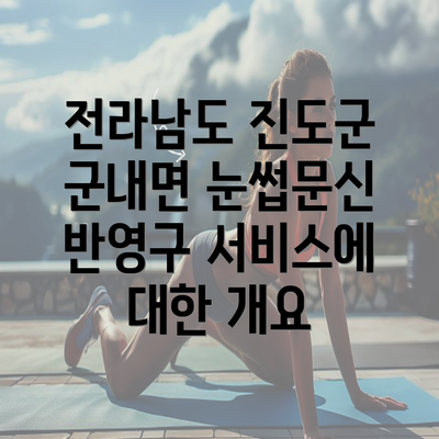 전라남도 진도군 군내면 눈썹문신 반영구 서비스에 대한 개요