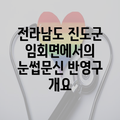 전라남도 진도군 임회면에서의 눈썹문신 반영구 개요