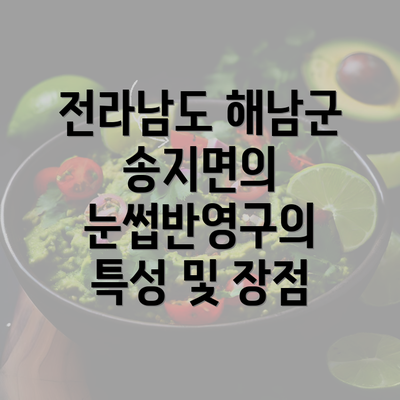 전라남도 해남군 송지면의 눈썹반영구의 특성 및 장점