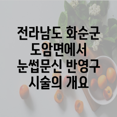 전라남도 화순군 도암면에서 눈썹문신 반영구 시술의 개요