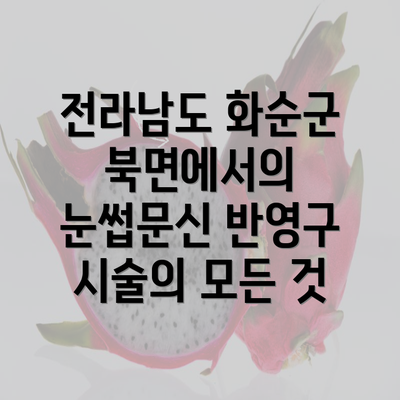 전라남도 화순군 북면에서의 눈썹문신 반영구 시술의 모든 것