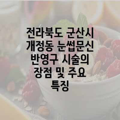 전라북도 군산시 개정동 눈썹문신 반영구 시술의 장점 및 주요 특징