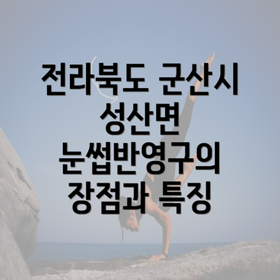 전라북도 군산시 성산면 눈썹반영구의 장점과 특징