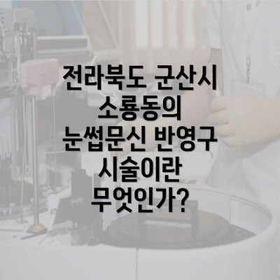 전라북도 군산시 소룡동의 눈썹문신 반영구 시술이란 무엇인가?