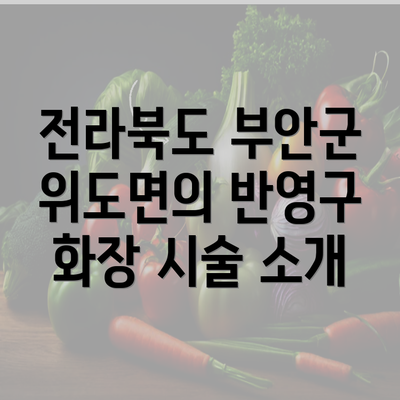 전라북도 부안군 위도면의 반영구 화장 시술 소개