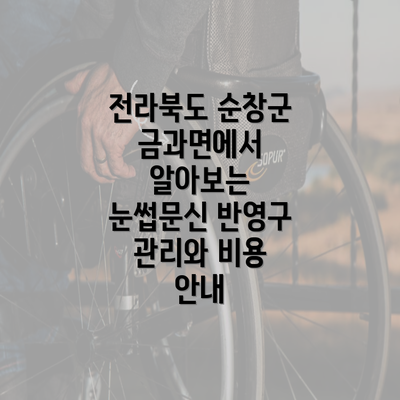 전라북도 순창군 금과면에서 알아보는 눈썹문신 반영구 관리와 비용 안내