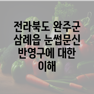 전라북도 완주군 삼례읍 눈썹문신 반영구에 대한 이해