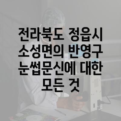 전라북도 정읍시 소성면의 반영구 눈썹문신에 대한 모든 것