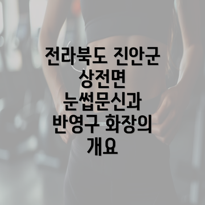 전라북도 진안군 상전면 눈썹문신과 반영구 화장의 개요