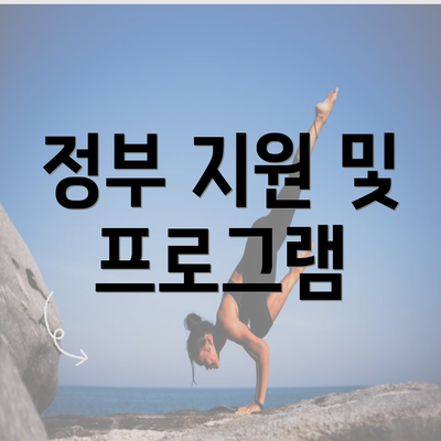 정부 지원 및 프로그램