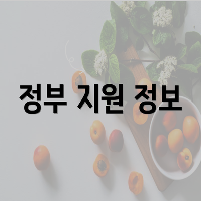 정부 지원 정보