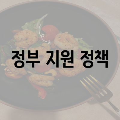 정부 지원 정책