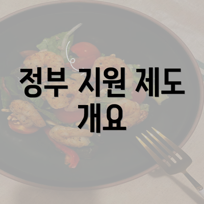 정부 지원 제도 개요