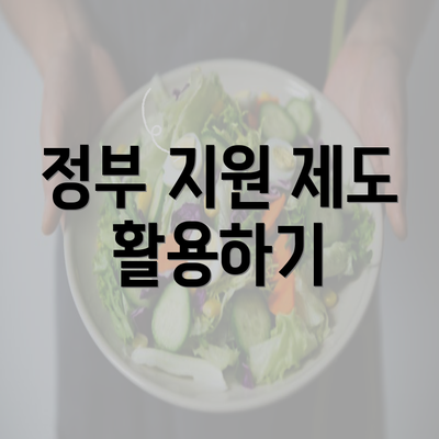 정부 지원 제도 활용하기