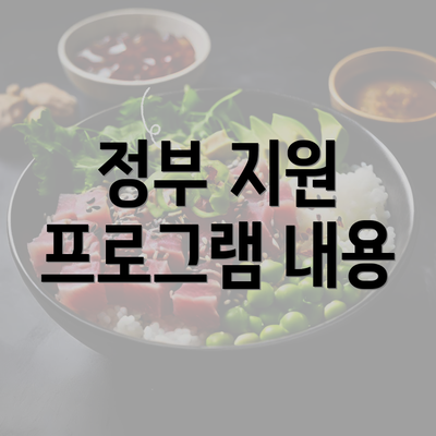 정부 지원 프로그램 내용