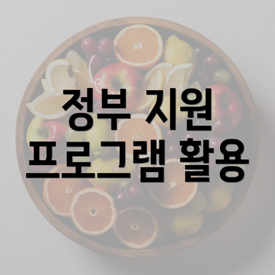 정부 지원 프로그램 활용