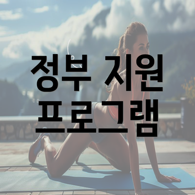 정부 지원 프로그램