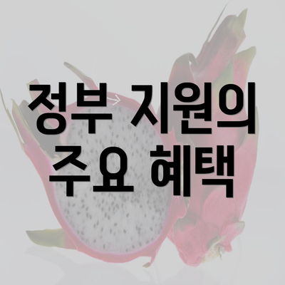 정부 지원의 주요 혜택