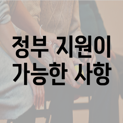 정부 지원이 가능한 사항