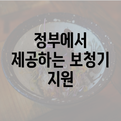 정부에서 제공하는 보청기 지원