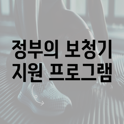 정부의 보청기 지원 프로그램