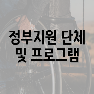 정부지원 단체 및 프로그램