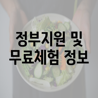 정부지원 및 무료체험 정보