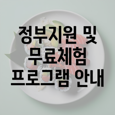 정부지원 및 무료체험 프로그램 안내