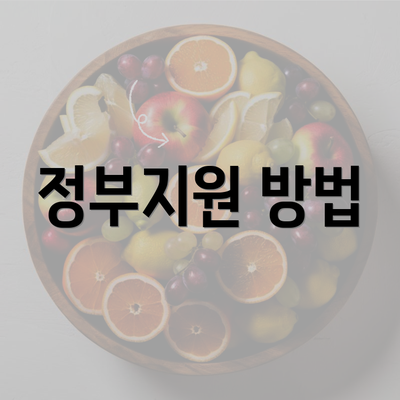 정부지원 방법