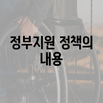 정부지원 정책의 내용