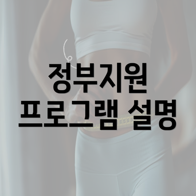 정부지원 프로그램 설명